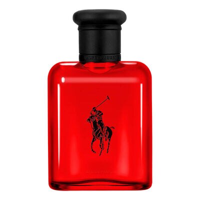 R.LAUREN   POLO          EDTV 75ML